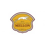 Отзывы людей о Школа спортивных коммуникаций Mellon - Москва, Павловская улица, 18