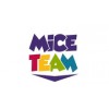 Компания Miceteam - Москва, Большой Толмачёвский переулок, 5с1