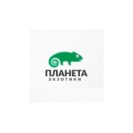 Отзывы людей о Exotic Planet - Москва, Кирпичная улица, 29