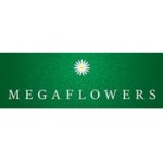 Отзывы людей о MegaFlowers - Воронеж, улица Орджоникидзе, 8