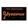 Одуванчик - Москва, улица Академика Волгина, 4