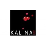 Отзывы людей о Kalina Bar - Москва, Новинский бульвар, 8