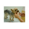 Зоосалон Dog&SPA - Москва, проезд Нансена, 4к2